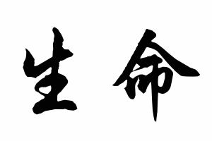 Free Small Chinese Symbols for Life Picture